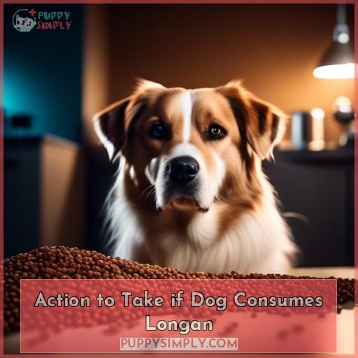 Action to Take if Dog Consumes Longan