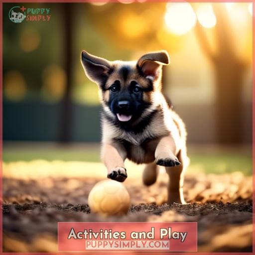 Activities and Play