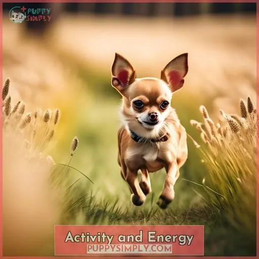 Activity and Energy