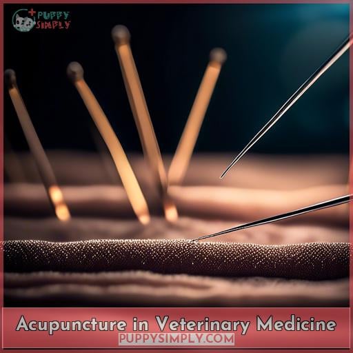 Acupuncture in Veterinary Medicine