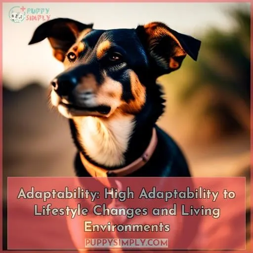 Adaptability: High Adaptability to Lifestyle Changes and Living Environments