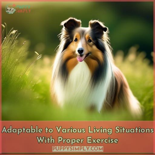 Adaptable to Various Living Situations With Proper Exercise