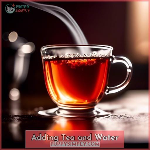 Adding Tea and Water