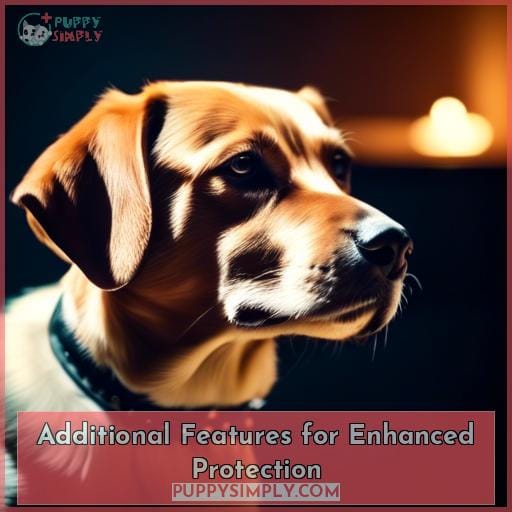 Additional Features for Enhanced Protection