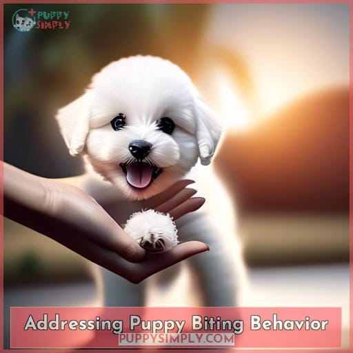 Addressing Puppy Biting Behavior Addressing Puppy Biting Behavior