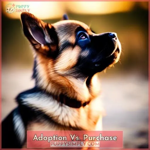 Adoption Vs. Purchase