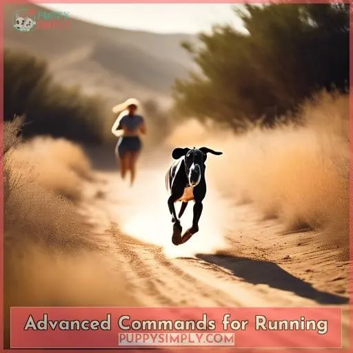 Advanced Commands for Running