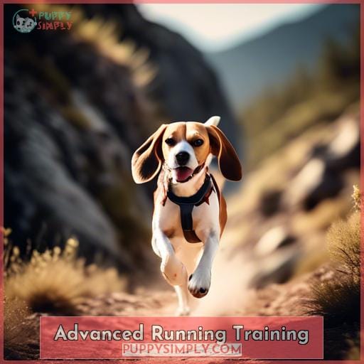 Advanced Running Training