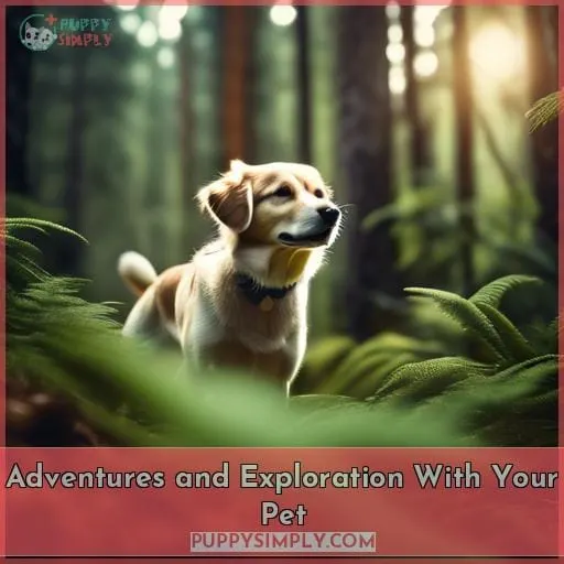 Adventures and Exploration With Your Pet