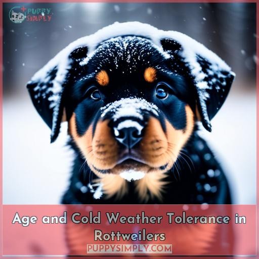 Age and Cold Weather Tolerance in Rottweilers
