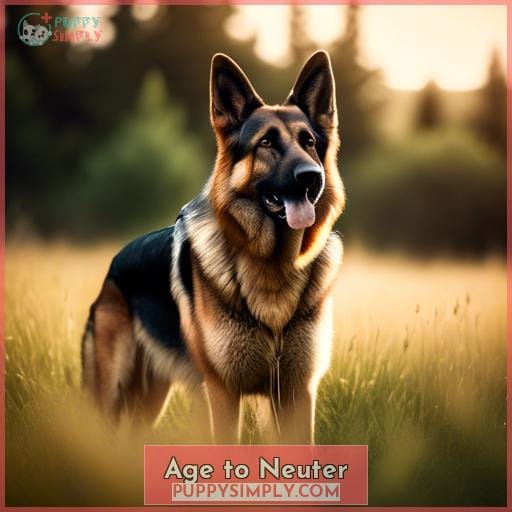 Age to Neuter