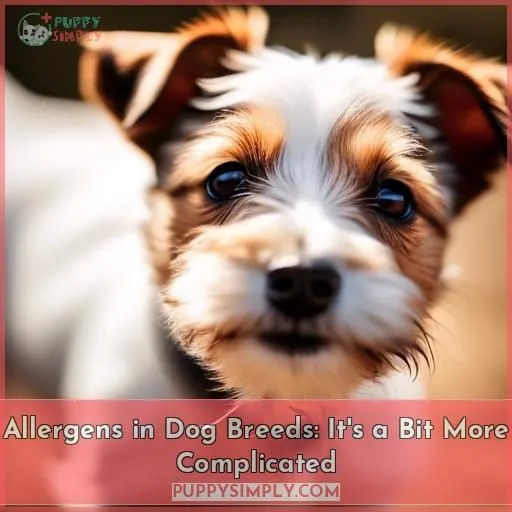 Allergens in Dog Breeds: It