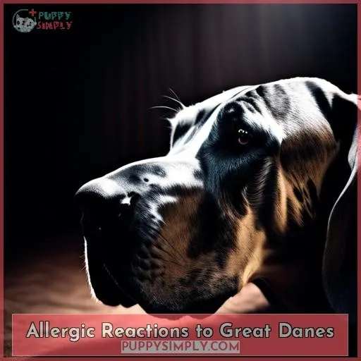 Allergic Reactions to Great Danes