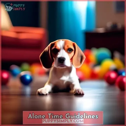 Alone Time Guidelines