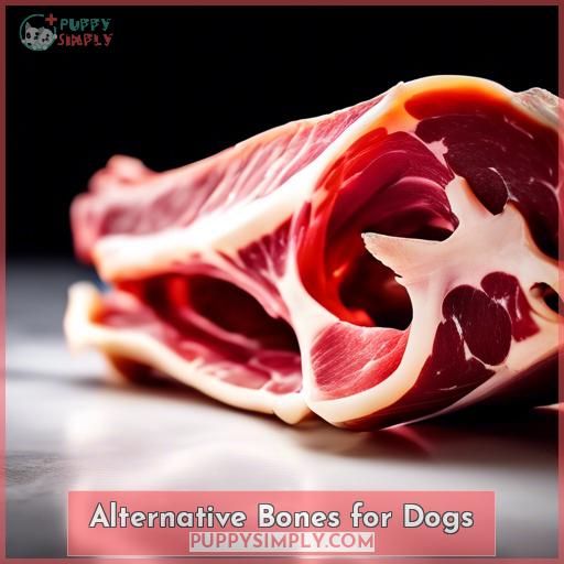 Alternative Bones for Dogs