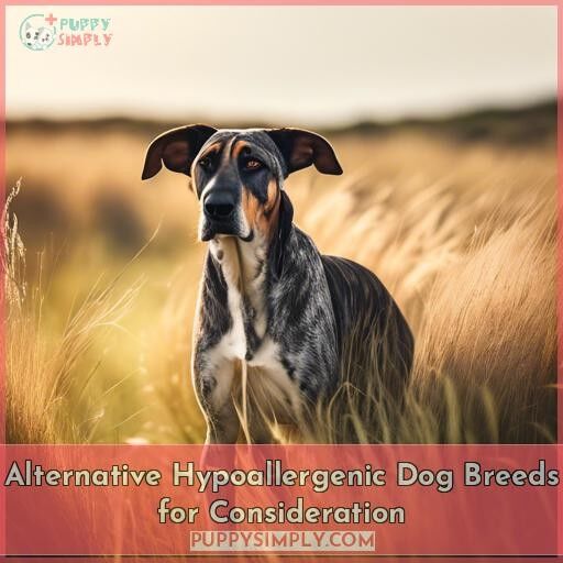 Alternative Hypoallergenic Dog Breeds for Consideration Alternative Hypoallergenic Dog Breeds for Consideration