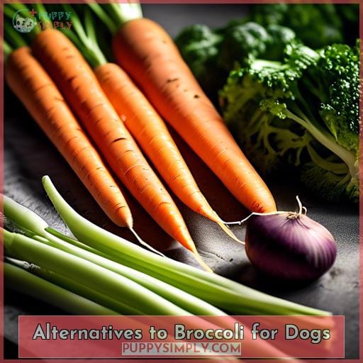 Alternatives to Broccoli for Dogs