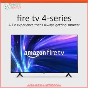 Amazon Fire TV 43 4-Series B08SWD2SCK