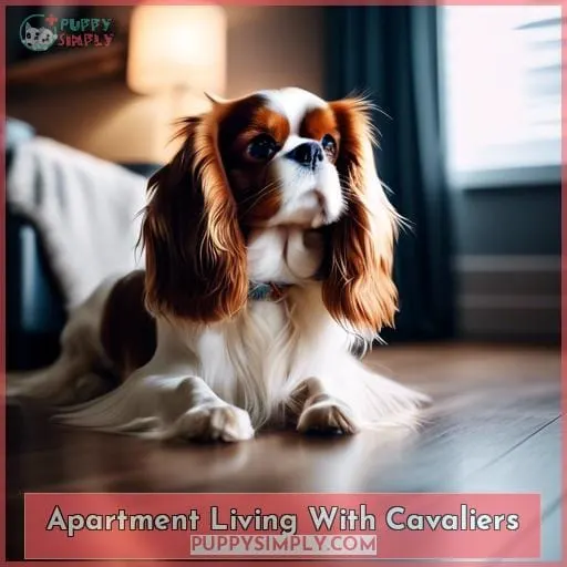 Apartment Living With Cavaliers