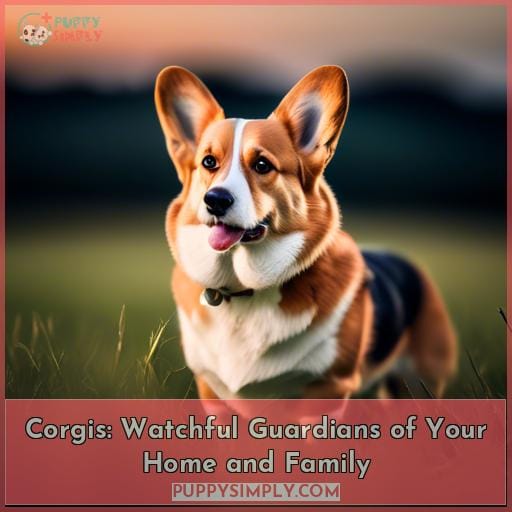 are corgis good guard dogs