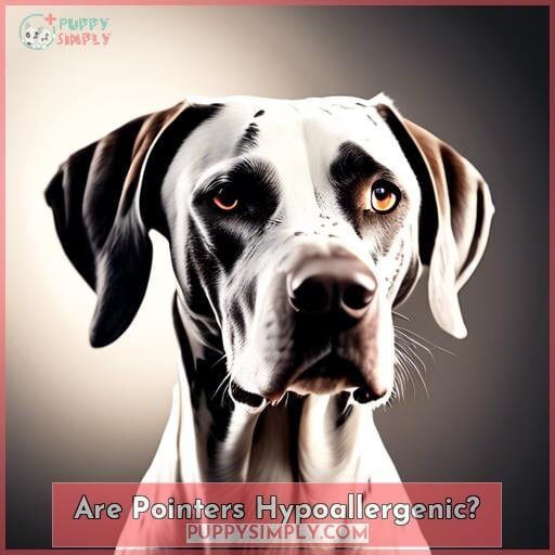 Are Pointers Hypoallergenic Are Pointers Hypoallergenic