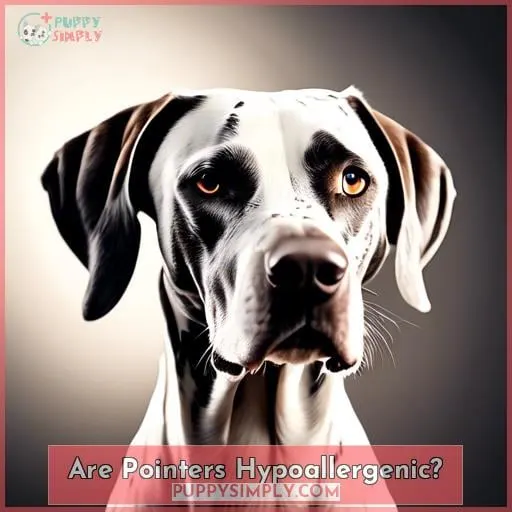 Are Pointers Hypoallergenic