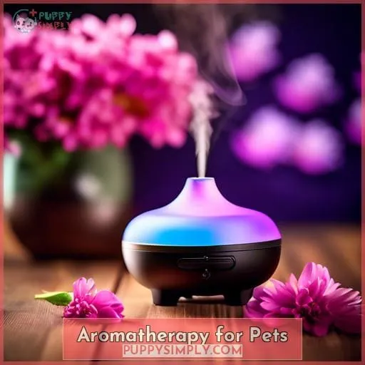 Aromatherapy for Pets