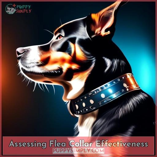 Assessing Flea Collar Effectiveness