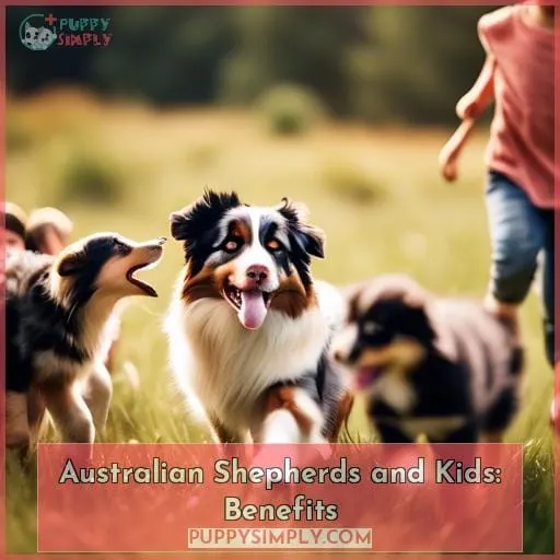 Australian Shepherds and Kids: Benefits