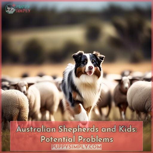 Australian Shepherds and Kids: Potential Problems