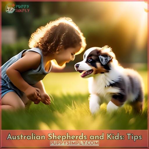 Australian Shepherds and Kids: Tips