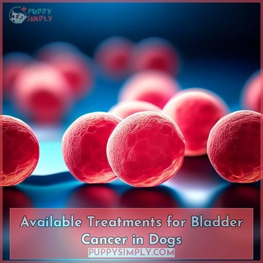 Available Treatments for Bladder Cancer in Dogs
