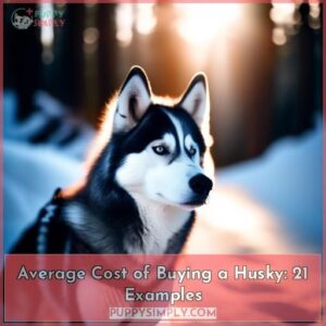 average cost of buying a husky with 21 examples