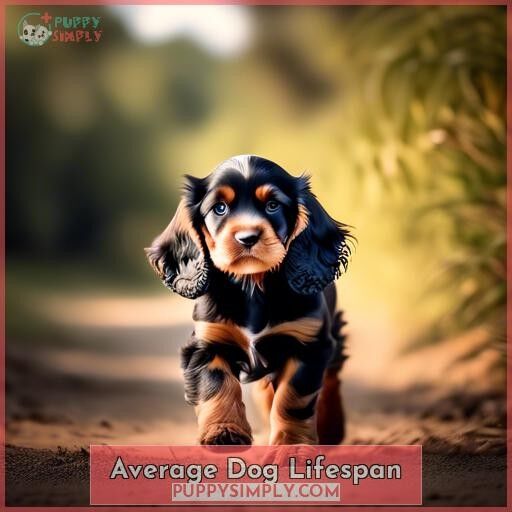Average Dog Lifespan Average Dog Lifespan