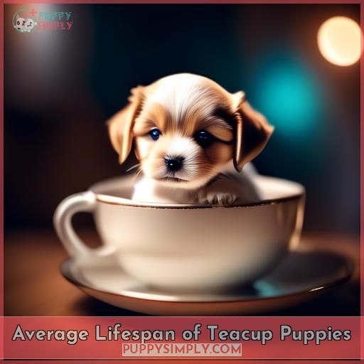 Average Lifespan of Teacup Puppies
