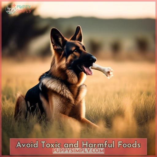 Avoid Toxic and Harmful Foods