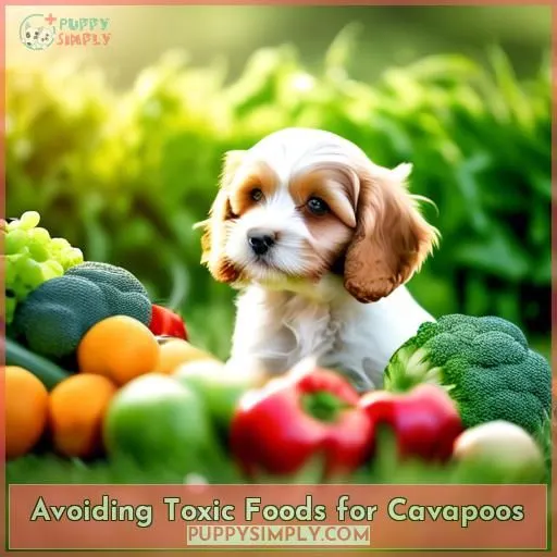Avoiding Toxic Foods for Cavapoos