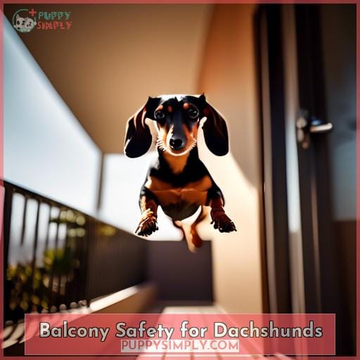 Balcony Safety for Dachshunds Balcony Safety for Dachshunds