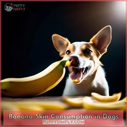 Banana Skin Consumption in Dogs