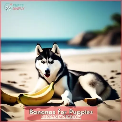 Bananas for Puppies