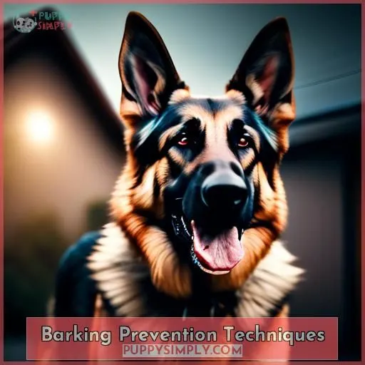 Barking Prevention Techniques