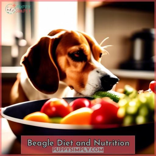 Beagle Diet and Nutrition
