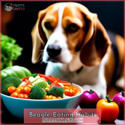 Beagle Eating Habits