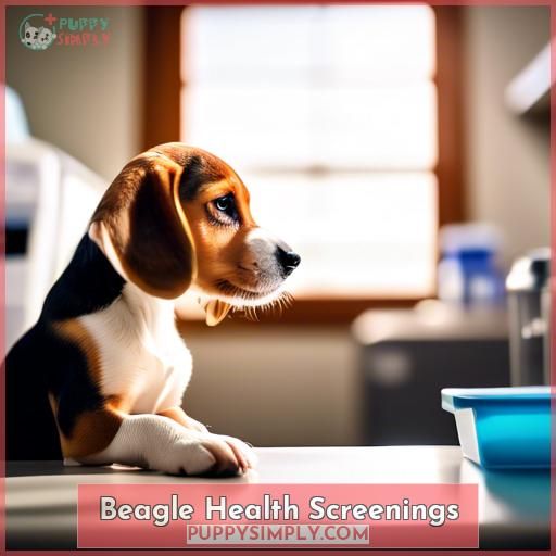 Beagle Health Screenings