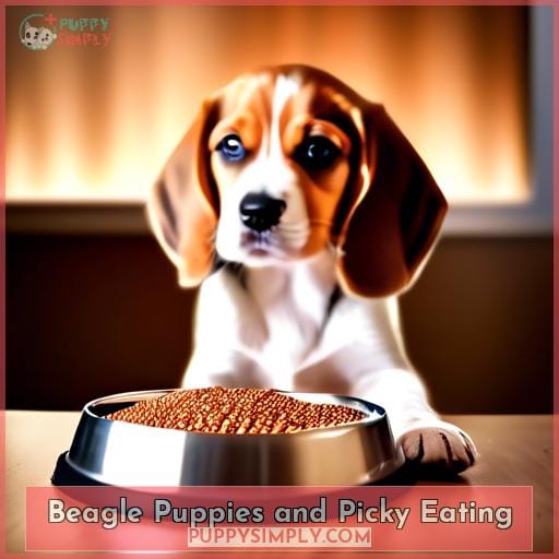 Beagle Puppies and Picky Eating