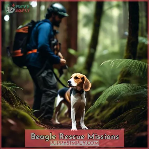Beagle Rescue Missions