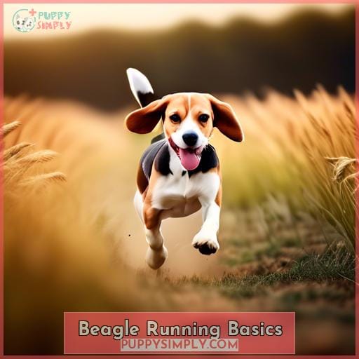 Beagle Running Basics