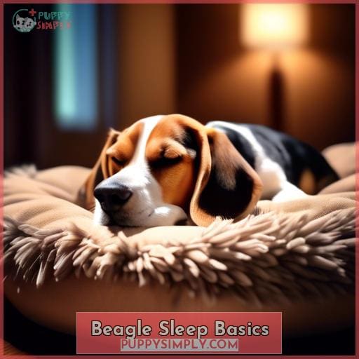 Beagle Sleep Basics