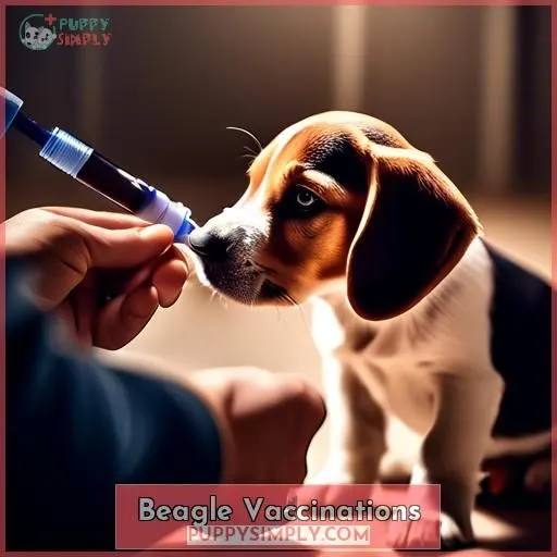 Beagle Vaccinations