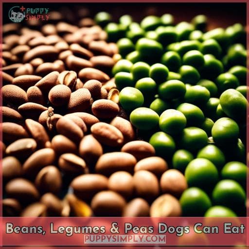 Beans, Legumes & Peas Dogs Can Eat